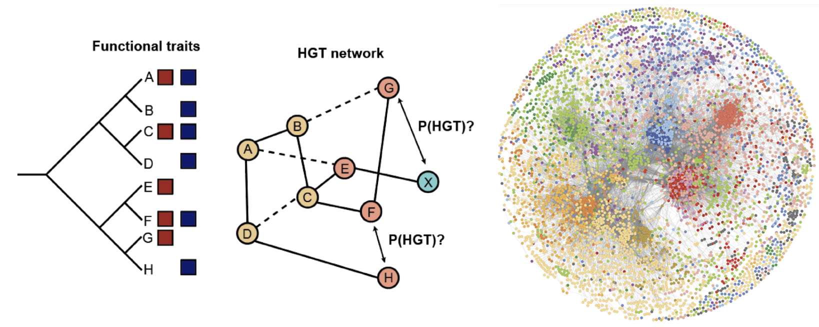 Spatial transcriptomics study of P. aeruginosa