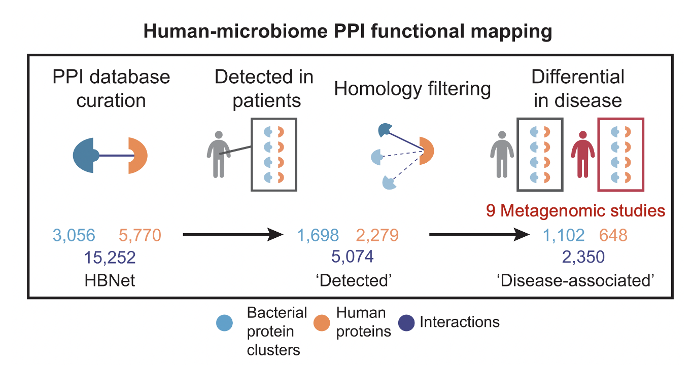 Spatial transcriptomics study of P. aeruginosa